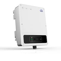 GOODWE GW3000D-NS